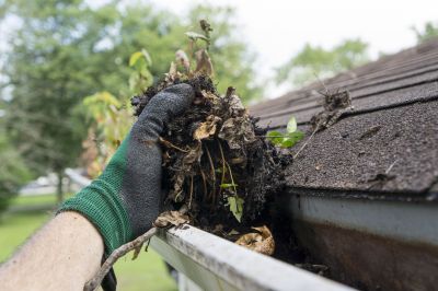 Gutter and Roof Maintenance